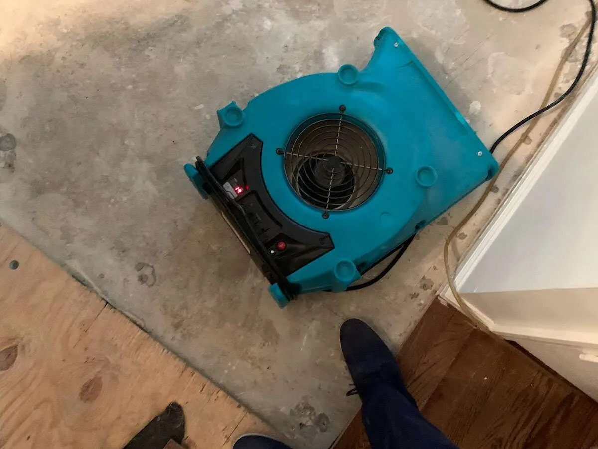 Air mover drying subfloor during Leak Detection & Repair in Almont